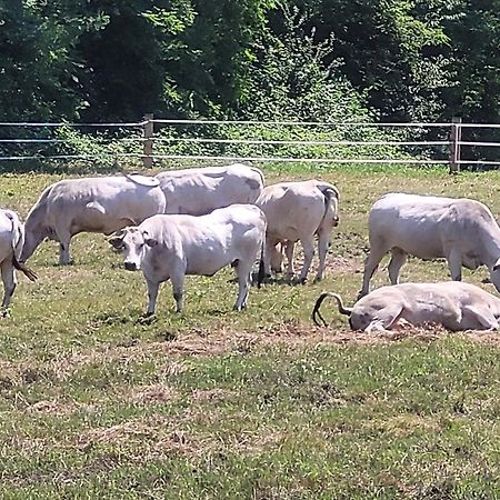 Agriturismo La Fornace Centro Ippico Como Zewnętrze zdjęcie