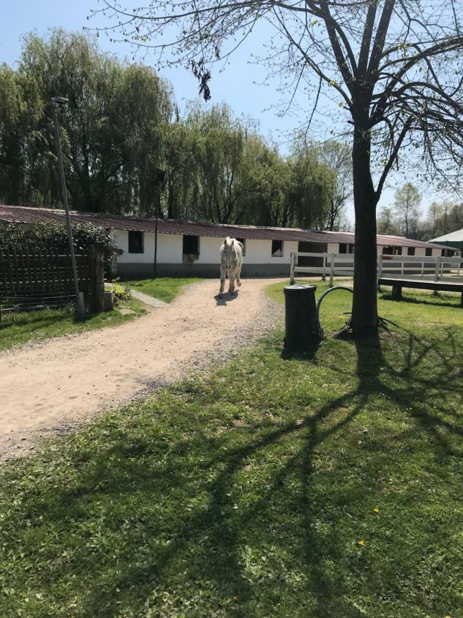 Agriturismo La Fornace Centro Ippico Como Zewnętrze zdjęcie
